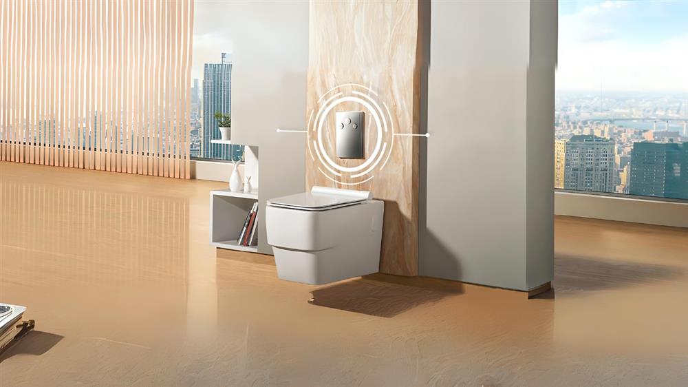 Premium wall mounted toilet